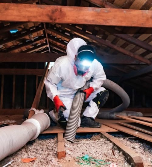 Rodent Exclusion & Attic Sanitation installation detail by Mustang Insulation Services